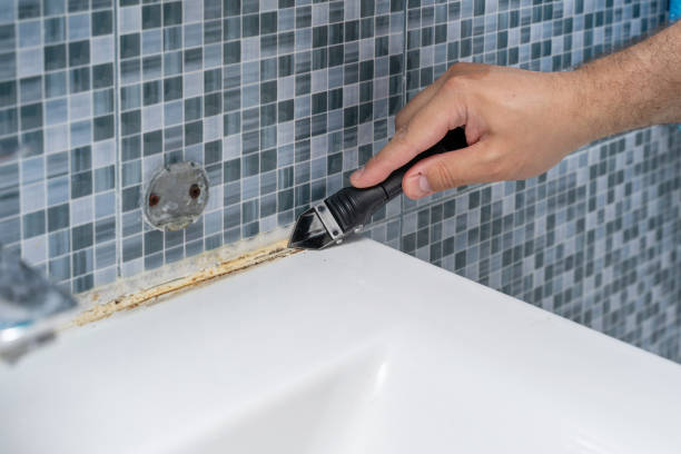 Best Post-Remediation Services in Houghton, MI