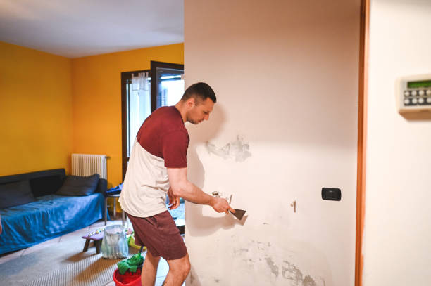 Best Residential Mold Remediation in Houghton, MI