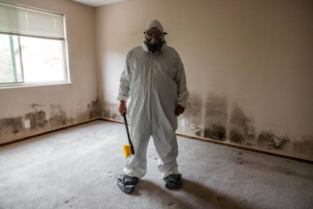 Best Bathroom Mold Remediation in Houghton, MI